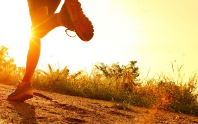 Jettest Cares: Healthy Work Life